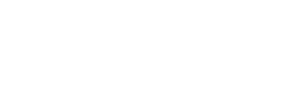 Volo